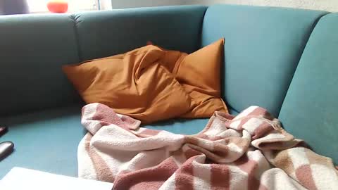 Snapshot of stevessky chatting on 30, 12, 2024 stevessky online show from 30, 12, 2024