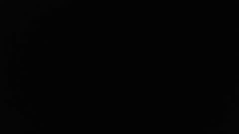 Stew Pididiot online show from 2, 10, 2025