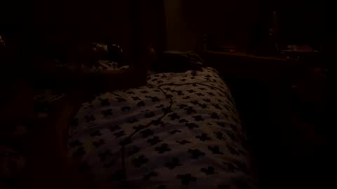 stickyfeet14 online show from 8, 3, 2026