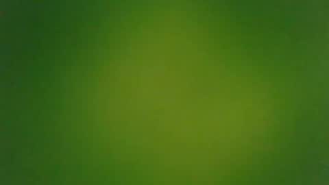 Snapshot of stonedandlovingit chatting on 3, 3, 2025 stonedandlovingit online show from 3, 3, 2025