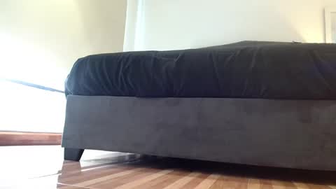 storm_hanks online show from 29, 11, 2025