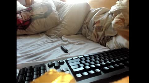 Snapshot of strawboy300 chatting on 17, 1, 2025 strawboy300 online show from 17, 1, 2025