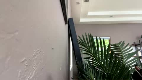 Ruby Moon online show from 11, 12, 2024