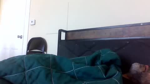 strictdaddy13 online show from 21, 2, 2025