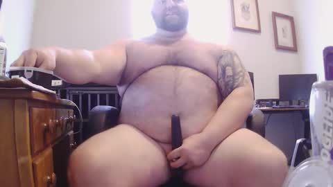 strong_bear89 online show from 5, 2, 2026