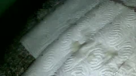 Snapshot of suesser0009 chatting on 18, 2, 2025 Martin sweetboy online show from 18, 2, 2025