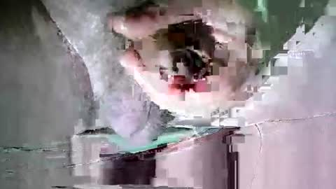 Snapshot of suesser0009 chatting on 20, 10, 2025 Martin sweetboy online show from 20, 10, 2025