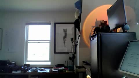 Sugar online show from 18, 4, 2026
