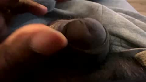 Snapshot of suggnight chatting on 7, 1, 2026 Let me be your knight that saves you online show from 7, 1, 2026