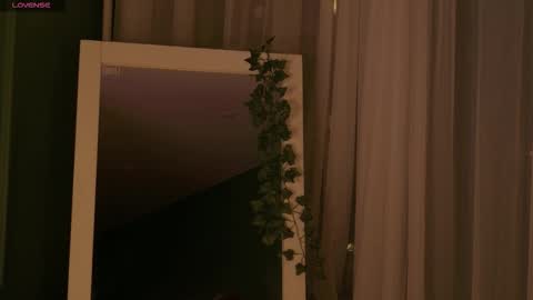 Risha online show from 23, 11, 2025