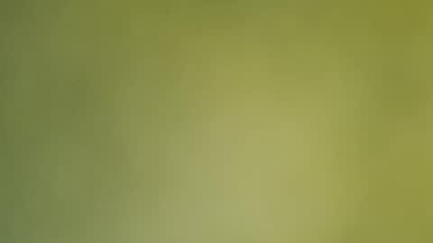 Snapshot of sunshine_days chatting on 19, 12, 2024 Annie online show from 19, 12, 2024