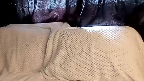 Snapshot of sunshine_days chatting on 8, 3, 2025 Annie online show from 8, 3, 2025