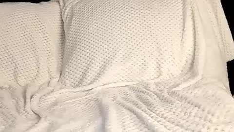 Snapshot of sunshine_days chatting on 12, 3, 2025 Annie online show from 12, 3, 2025