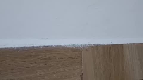 Snapshot of sunshine_days chatting on 6, 10, 2025 Annie online show from 6, 10, 2025