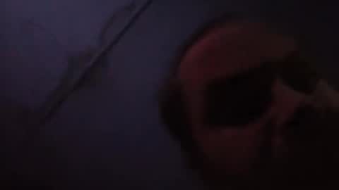 sloth online show from 20, 2, 2026