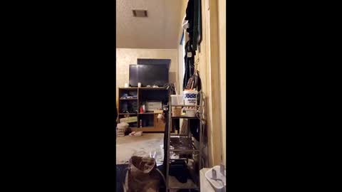 Snapshot of surfsup850 chatting on 18, 12, 2025 surfsup850 online show from 18, 12, 2025