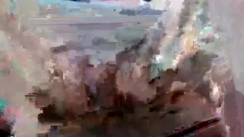 suttond4858 online show from 12, 9, 2025