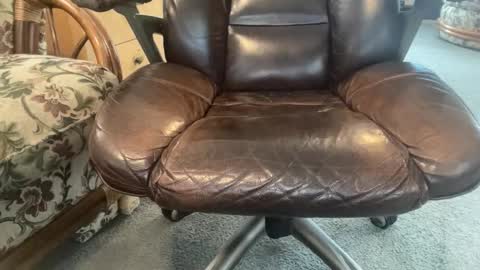 VersDad55 online show from 3, 11, 2025