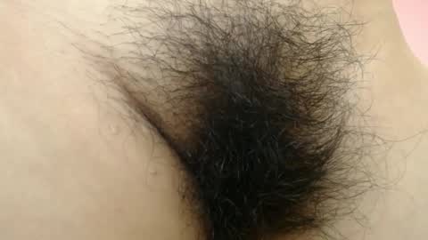 Barbara online show from 5, 3, 2026