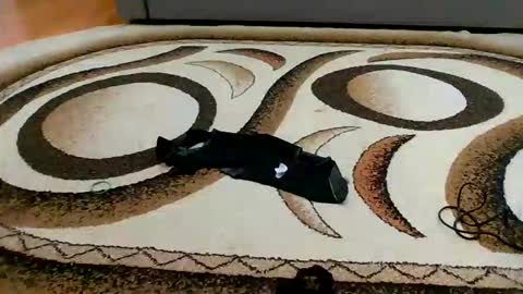 Sweet bluegirl online show from 6, 3, 2026