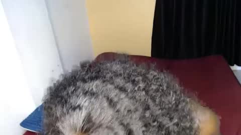 ellanah Tracie online show from 30, 9, 2025