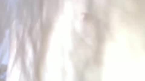 Snapshot of sweetdam12 chatting on 30, 12, 2024 sweetdam12 online show from 30, 12, 2024