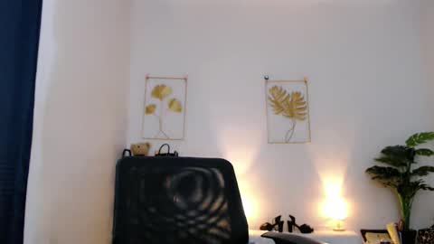 May online show from 14, 11, 2025