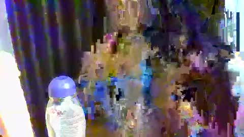 Snapshot of sweetpunani89 chatting on 17, 12, 2025 sweet online show from 17, 12, 2025