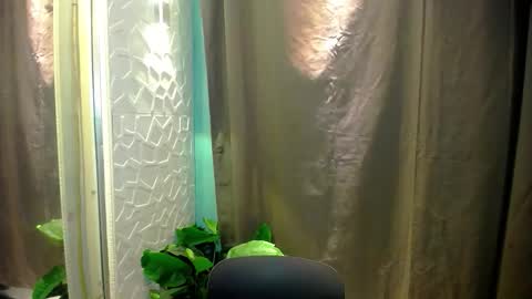 sweetspecial_jessyxx online show from 14, 4, 2026