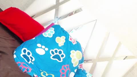 sweetsultrysiren online show from 23, 1, 2025