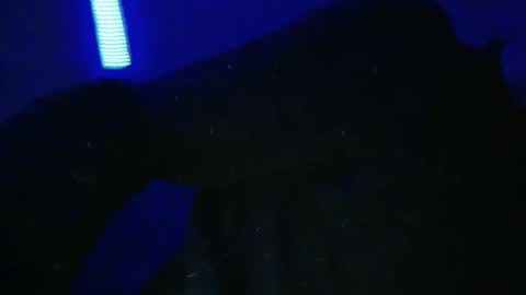 Snapshot of sylvauvert70 chatting on 18, 1, 2026 sylvauvert70 online show from 18, 1, 2026