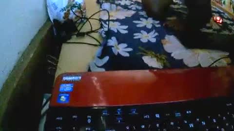 Snapshot of sylviasexy27 chatting on 18, 11, 2025 sylviasexy27 online show from 18, 11, 2025