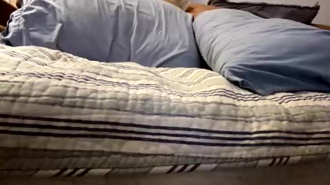 tRex online show from 5, 11, 2025