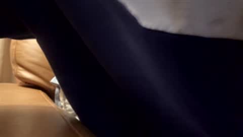 tRex online show from 1, 12, 2025