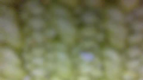 Prostate Orgazmer online show from 29, 5, 2026