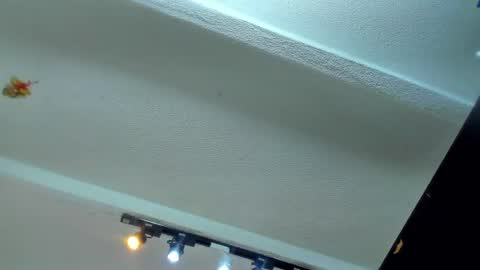 Snapshot of tafari_1 chatting on 4, 6, 2026 Tafari Zulu online show from 4, 6, 2026