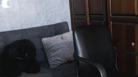 Snapshot of tairontucke chatting on 18, 12, 2024 Tairon Tucke online show from 18, 12, 2024