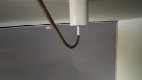 Snapshot of talianavega chatting on 8, 4, 2026 tali online show from 8, 4, 2026