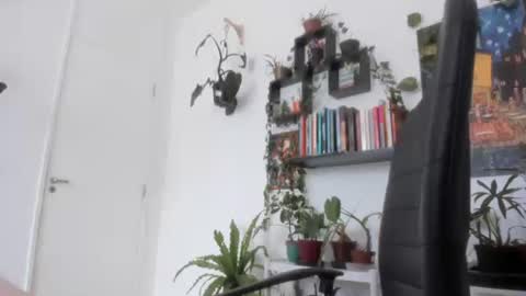 Tali Majid online show from 26, 11, 2025