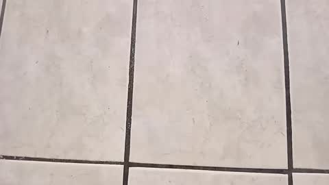 tall6feet7inch online show from 28, 9, 2025