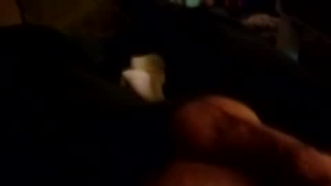 Snapshot of talldrink62 chatting on 26, 10, 2025 The Man of Steel online show from 26, 10, 2025