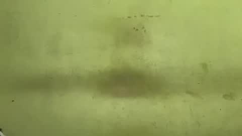 Tanya online show from 23, 11, 2025