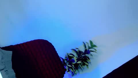 Snapshot of tamera_cummer0969 chatting on 20, 11, 2025 tamera_cummer0969 online show from 20, 11, 2025