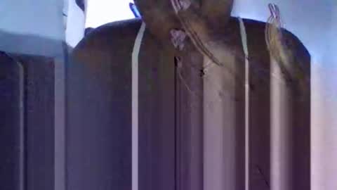 Snapshot of tanaya1 chatting on 10, 10, 2025 Tanaya1 online show from 10, 10, 2025