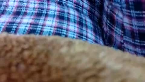 Snapshot of taniya_roy4628 chatting on 12, 2, 2026 taniya_roy4628 online show from 12, 2, 2026