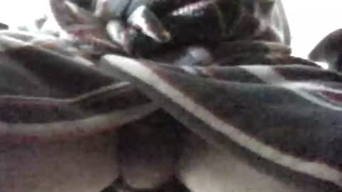 Snapshot of tap_b chatting on 16, 2, 2025 Patrick online show from 16, 2, 2025