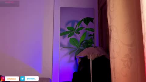 tattokoi online show from 27, 10, 2025