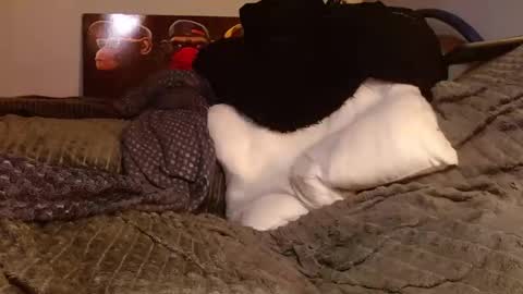 Snapshot of tattooman777 chatting on 28, 3, 2026 Jean pool online show from 28, 3, 2026