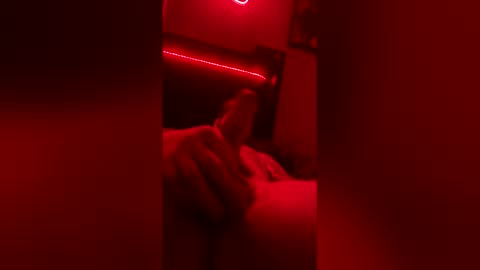 taylor1424 online show from 1, 3, 2026