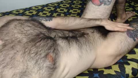 Taylor online show from 12, 1, 2026